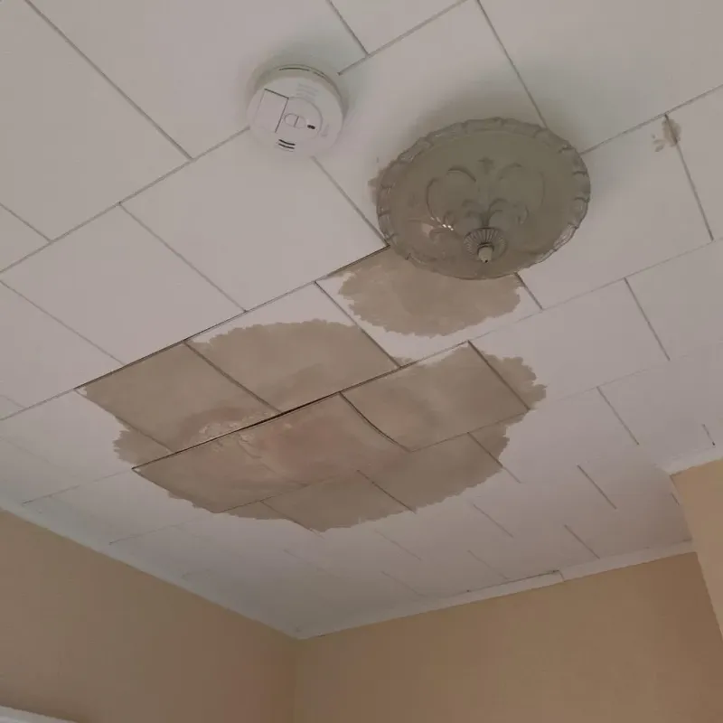Ceiling Water Damage Repair in Woodland Park, NJ