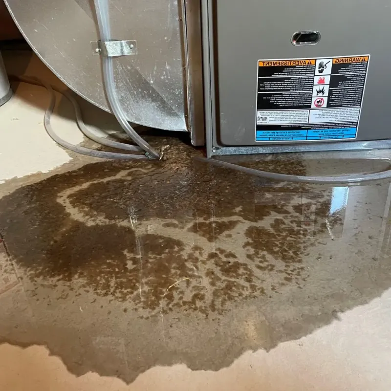 Pipe Burst and Leak Restoration in Woodland Park, NJ